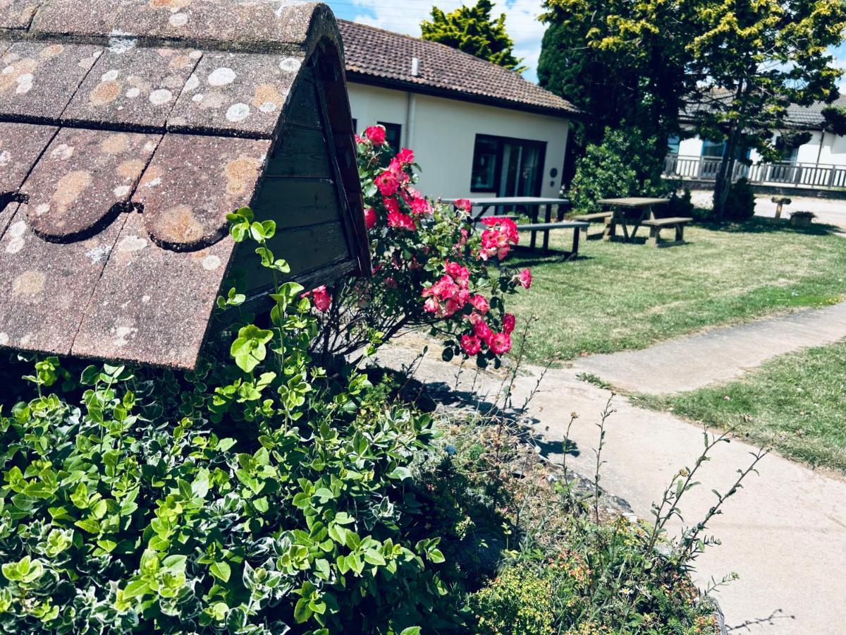 Kinetic Stays - Serenity Holiday Cottages Sidmouth Ngoại thất bức ảnh